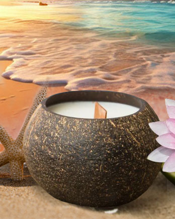 Ocean Breeze - Coconut Soy Candles